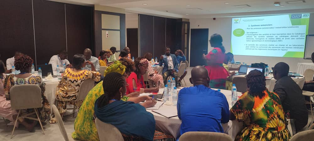 Cameroun : Les Techniques de Production de Semences et de la Gestion Efficiente des Entreprises Semencières sur le tapis d’une Formation Régionale