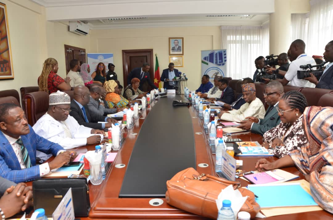 Elections Cameroon en quête de la construction d’un monde électoral crédible 