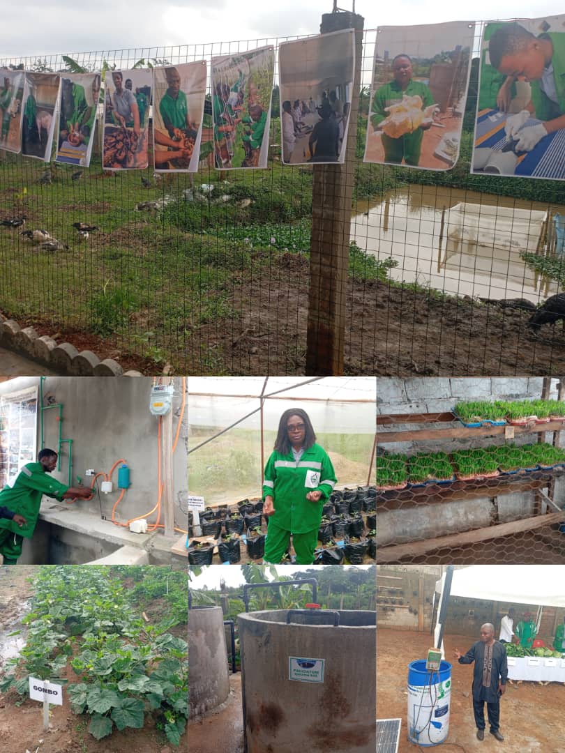 Journée portes ouvertes à Soa : ISTAPA/CEFPREPAS combine innovations agropastorales et soutien aux jeunes apprenants vulnérables